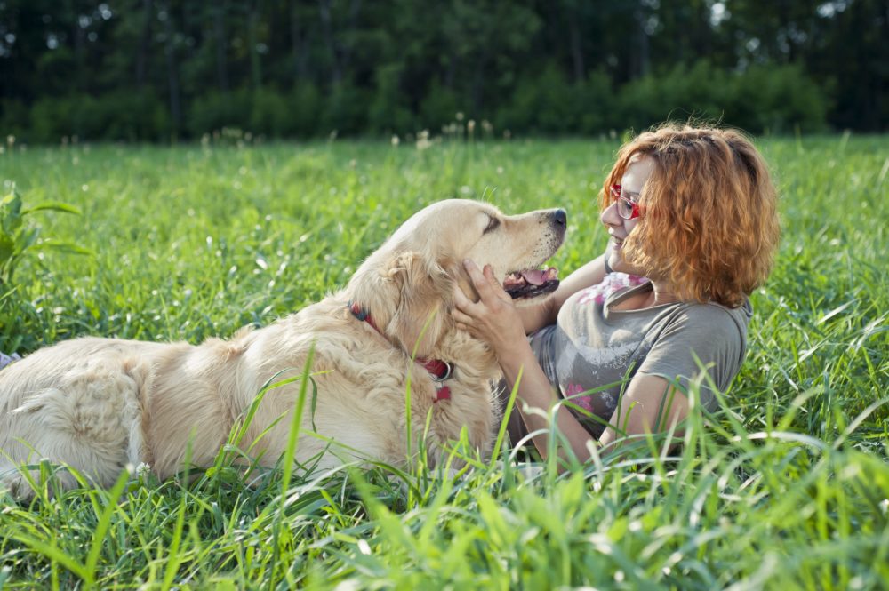 Dogs are social animals and need companionship for their mental and physical health.