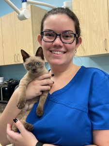 Comprehensive Cat Wellness Programs and Services